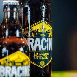 Bouteille de Bracine Triple 75cl – Bière blonde dorée du Nord aux arômes fruités