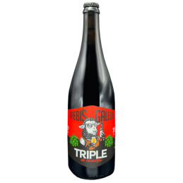 Bouteille de bière Brebis Galleuse Triple 75 cl – Bière blonde artisanale 9.5%