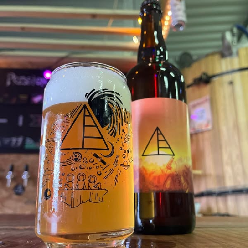 Verre Anosteke 25 cl Achat/Vente de verre à bière Verre Anosteke
