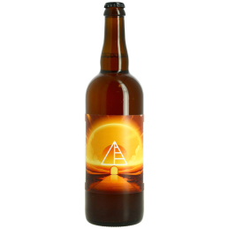 Bouteille de bière Triple Horizon 75 cl – Bière artisanale du Nord de la France