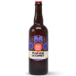 Bouteille de bière Plan sur la Comet 75cl IPA Blonde avec houblon comet