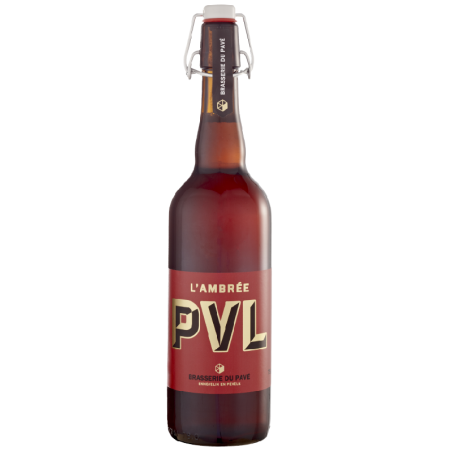 Photo de la bouteille de PVL Ambrée 75 cl avec des éléments naturels comme de la chicorée et des houblons des Flandres.