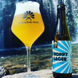 Bouteille de Hoppy Lager, bière artisanale blonde brassée dans le Nord