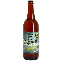 Bière Blonde Bon Samaritain 75cl Sans Gluten – Étiquette Brasserie Artésienne