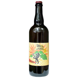 Bouteille de bière blonde Cordillère des Flandres avec décor de la Flandre